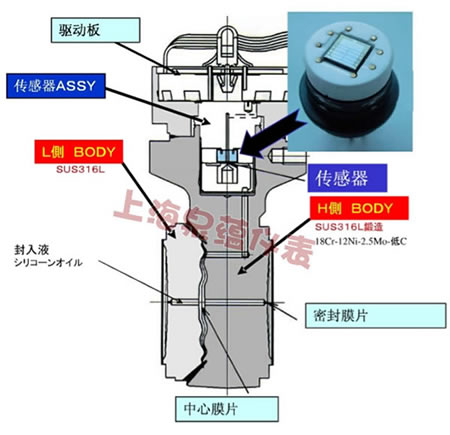 eja圖片